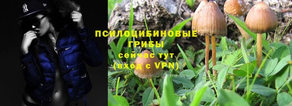 молекула духа Алексеевка
