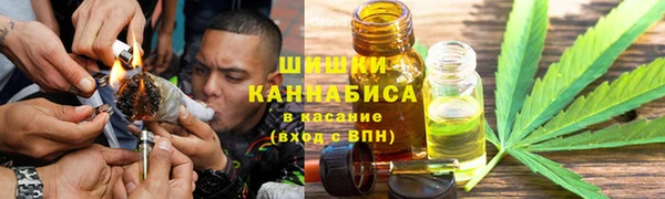 молекула духа Алексеевка